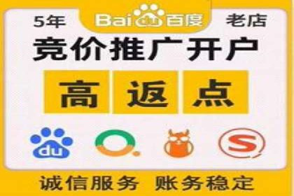案例分析：竞价代运营如何实现精准用户定位